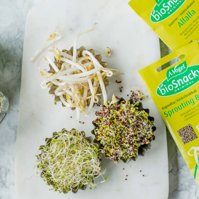 Spirer, spirekasse og Biosnacky spireprodukter
